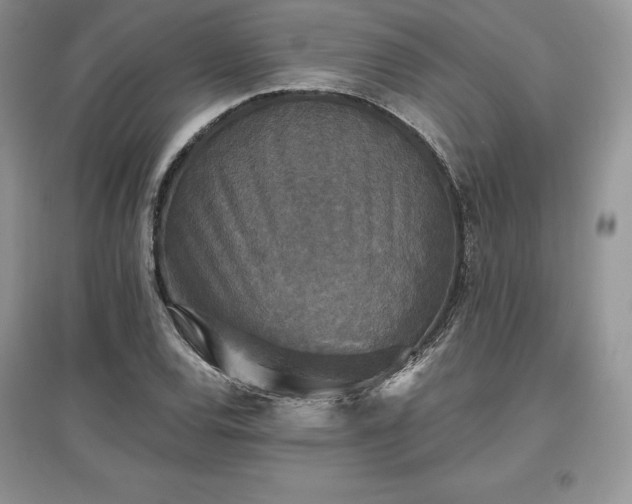 X0000097631120200803071525