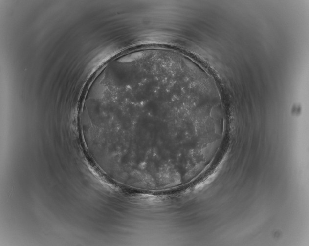 X0000097631121200803071525