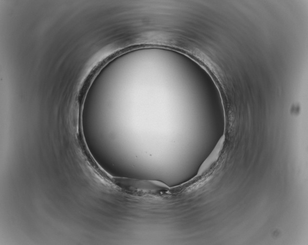 X0000097631123200803071525