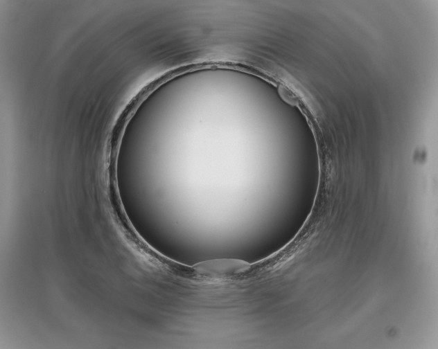 X0000097631124200803071525