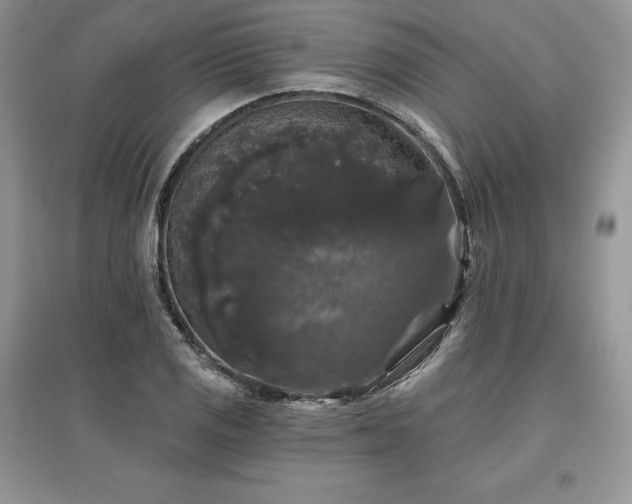 X0000097631125200803071525