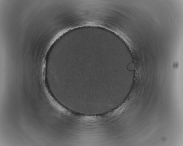 X0000097631126200803071525