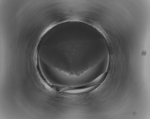 X0000097631127200803071525