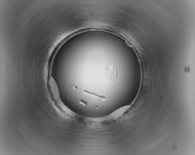 X0000097631128200803071525