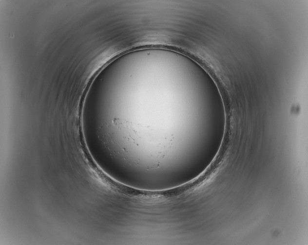 X0000097631129200803071525