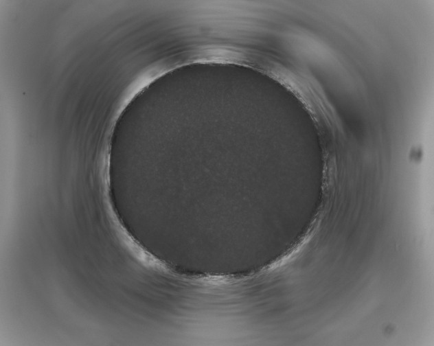 X0000097631130200803071525