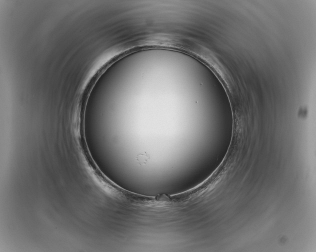 X0000097631131200803071525