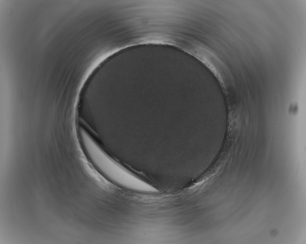 X0000097631132200803071525