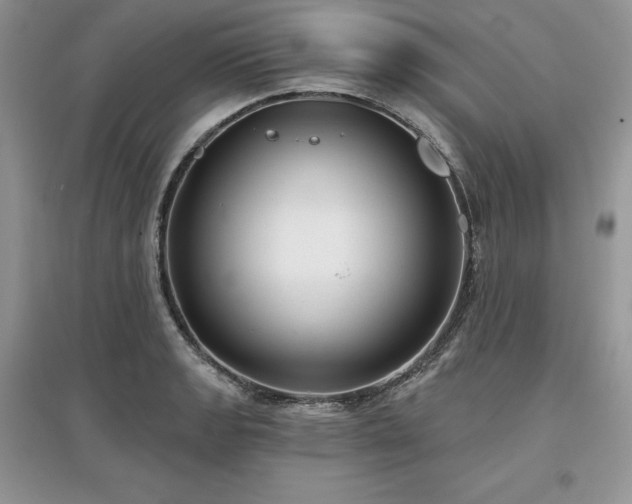 X0000097631133200803071525