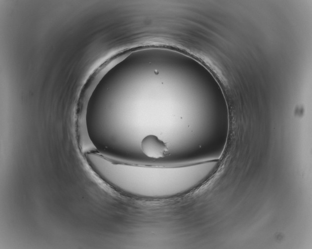 X0000097631134200803071525