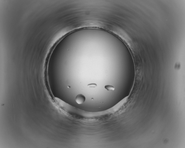 X0000097631135200803071525