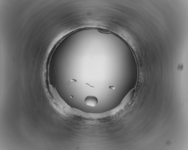 X0000097631136200803071525