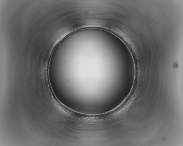 X0000097631137200803071525