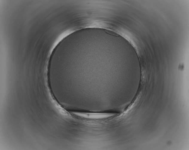 X0000097631138200803071525