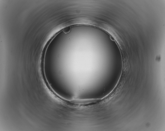 X0000097631139200803071525