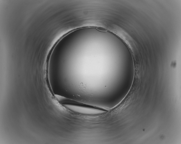 X0000097631140200803071525