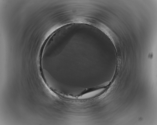 X0000097631141200803071525