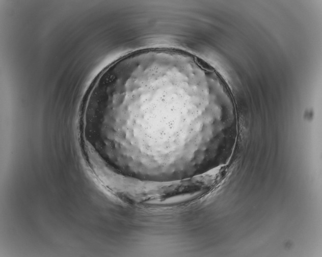 X0000097631142200803071525