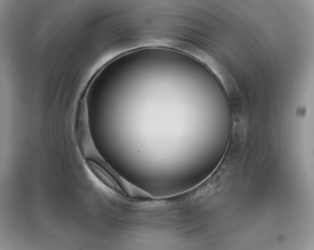 X0000097631143200803071525