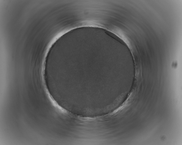 X0000097631144200803071525