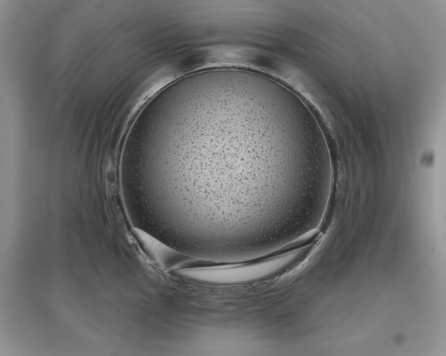 X0000097631145200803071525