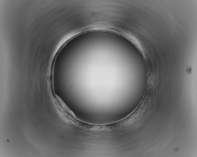 X0000097631146200803071525