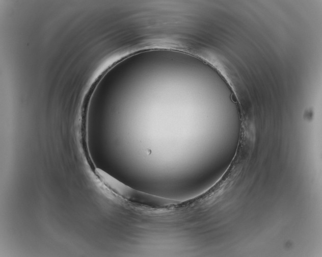 X0000097631147200803071525