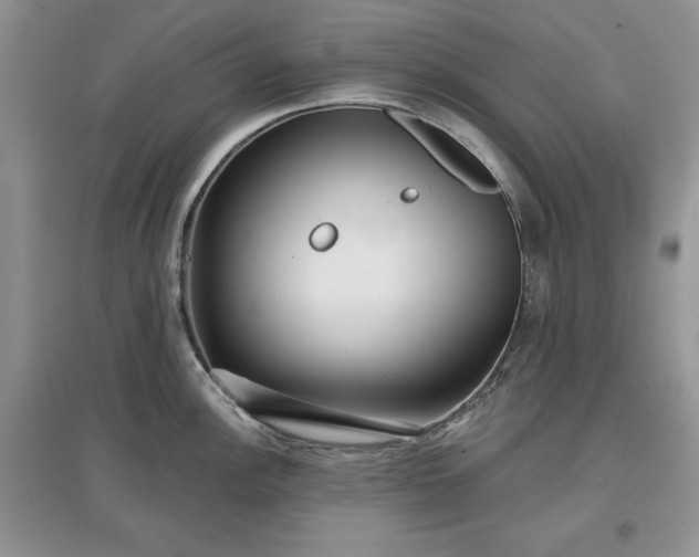 X0000097631148200803071525