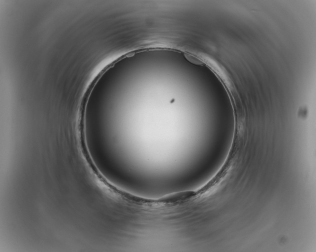 X0000097631149200803071525