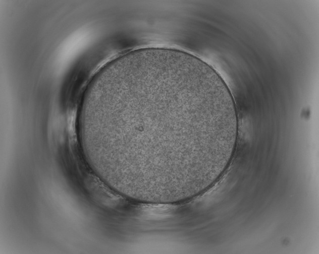 X0000097631150200803071525