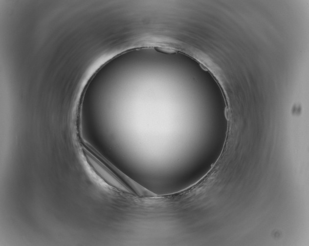 X0000097631152200803071525