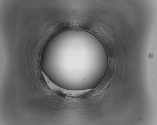 X0000097631153200803071525