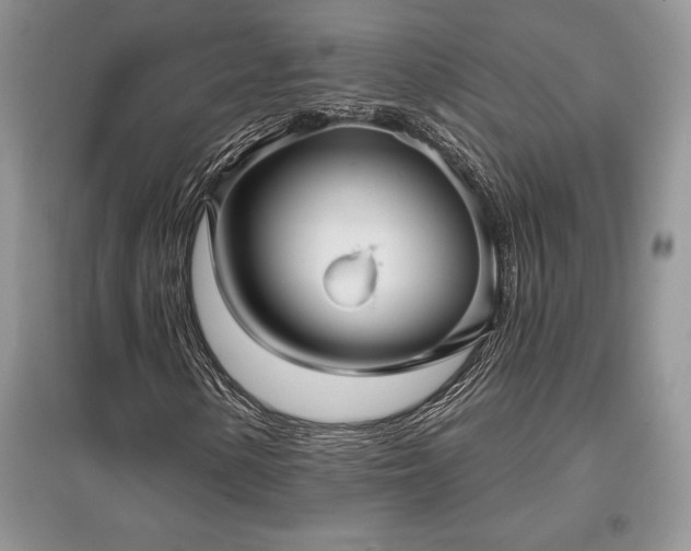 X0000097631154200803071525