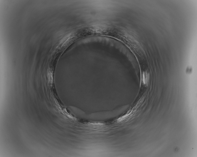 X0000097631155200803071525