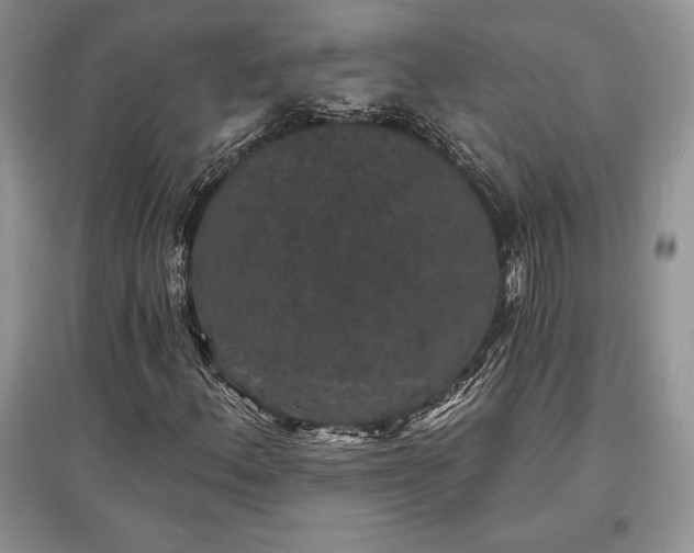 X0000097631156200803071525