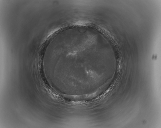 X0000097631158200803071525