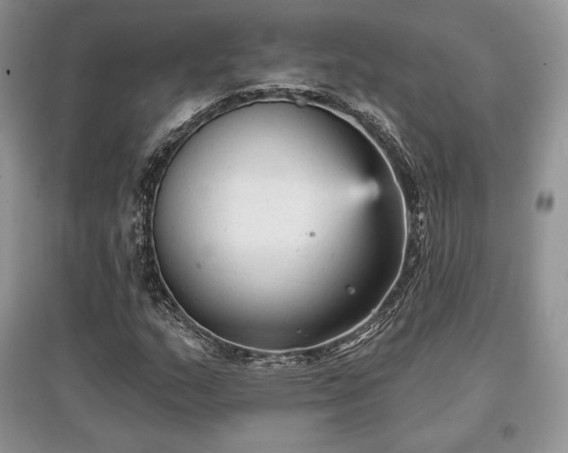 X0000097631159200803071525