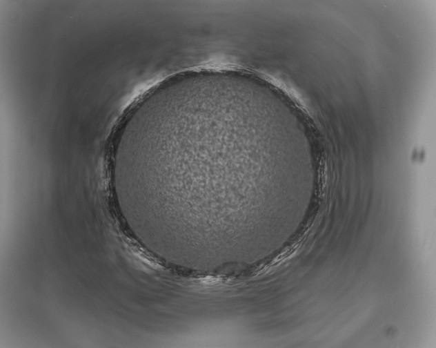 X0000097631160200803071525