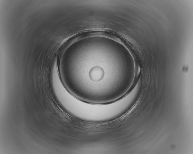 X0000097631161200803071525