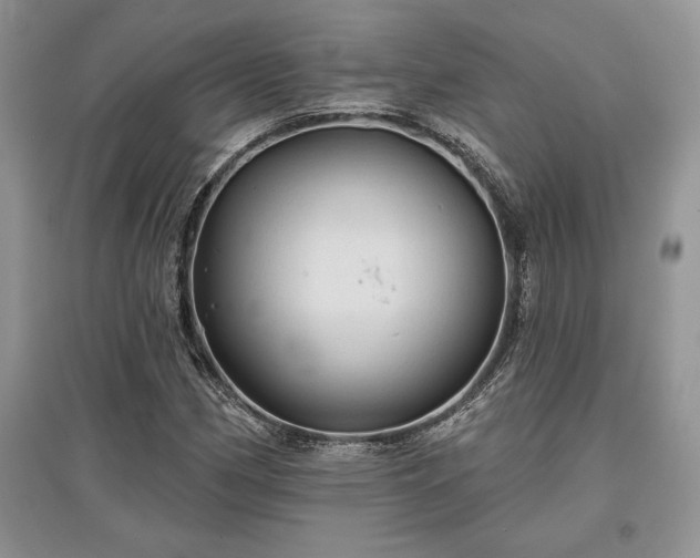 X0000097631162200803071525