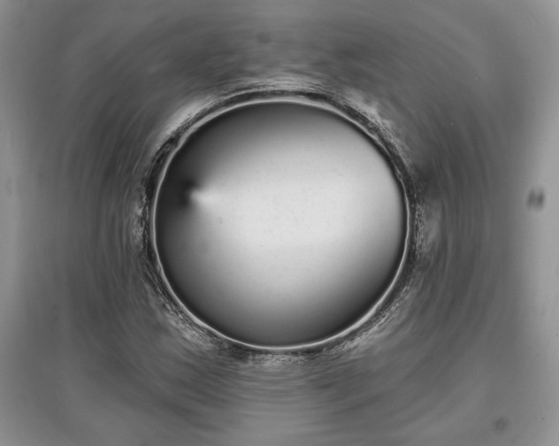 X0000097631163200803071525