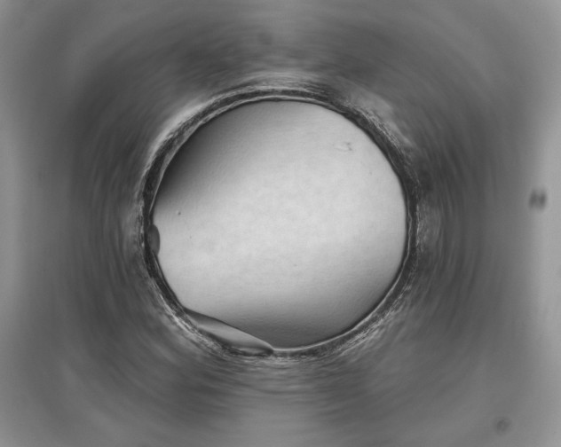 X0000097631164200803071525