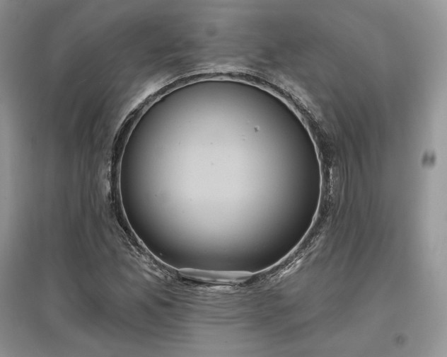 X0000097631165200803071525