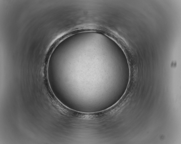 X0000097631166200803071525