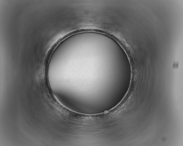 X0000097631167200803071525