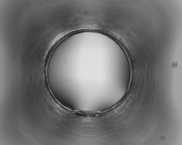 X0000097631168200803071525