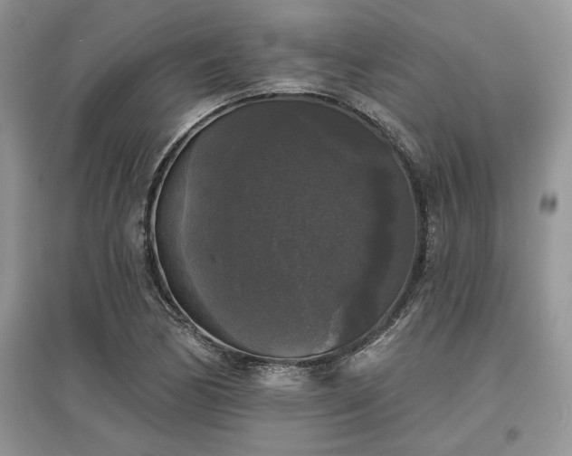 X0000097631170200803071525