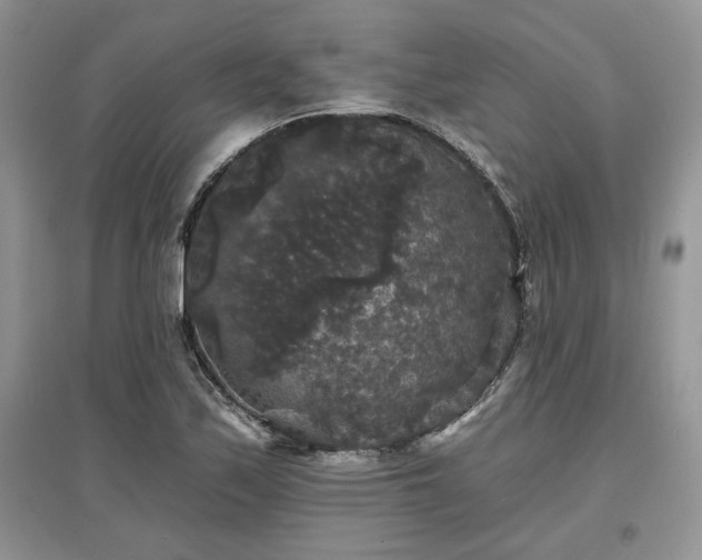 X0000097631171200803071525