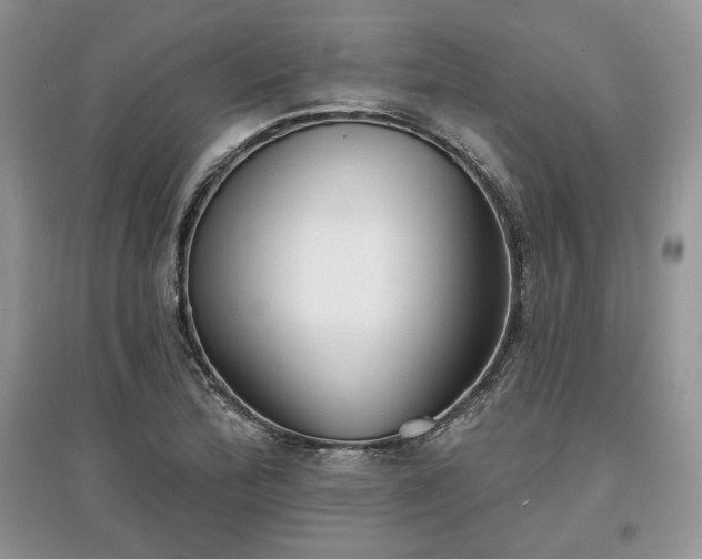 X0000097631172200803071525