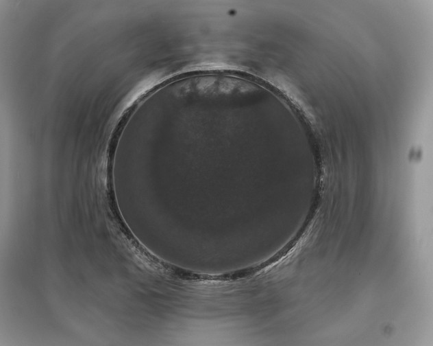 X0000097631173200803071525